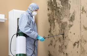 Mold Remediation for Vacation Homes in Prairie Grove, IL